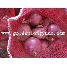 Rote Zwiebel gute Qualität von Shandong